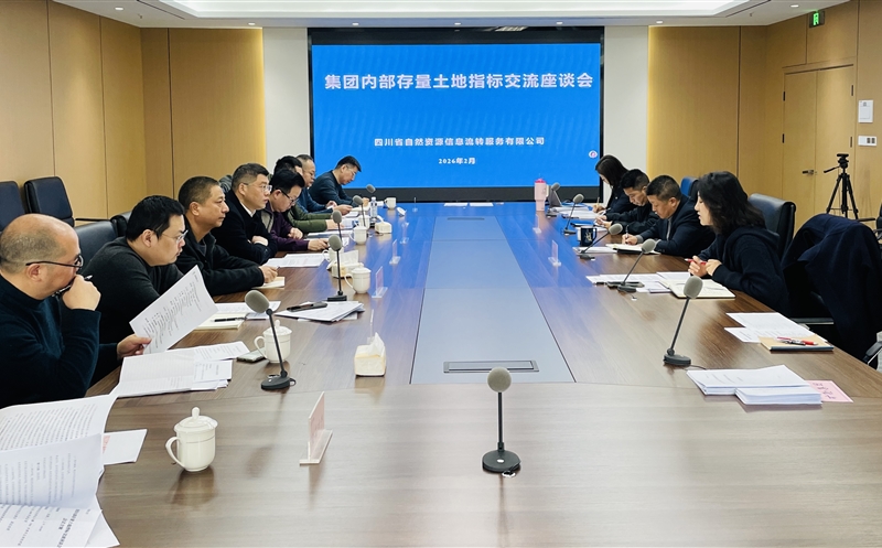 锚定战略协同，，，，，，，，激活存量价值——流转服务公司召开集团内部存量土地指标交流座谈会