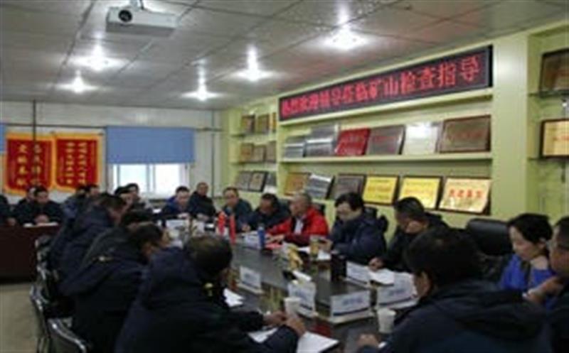 李仕荣一行到松树南沟金矿检查指导工作并考察周边菲彩国际情况
