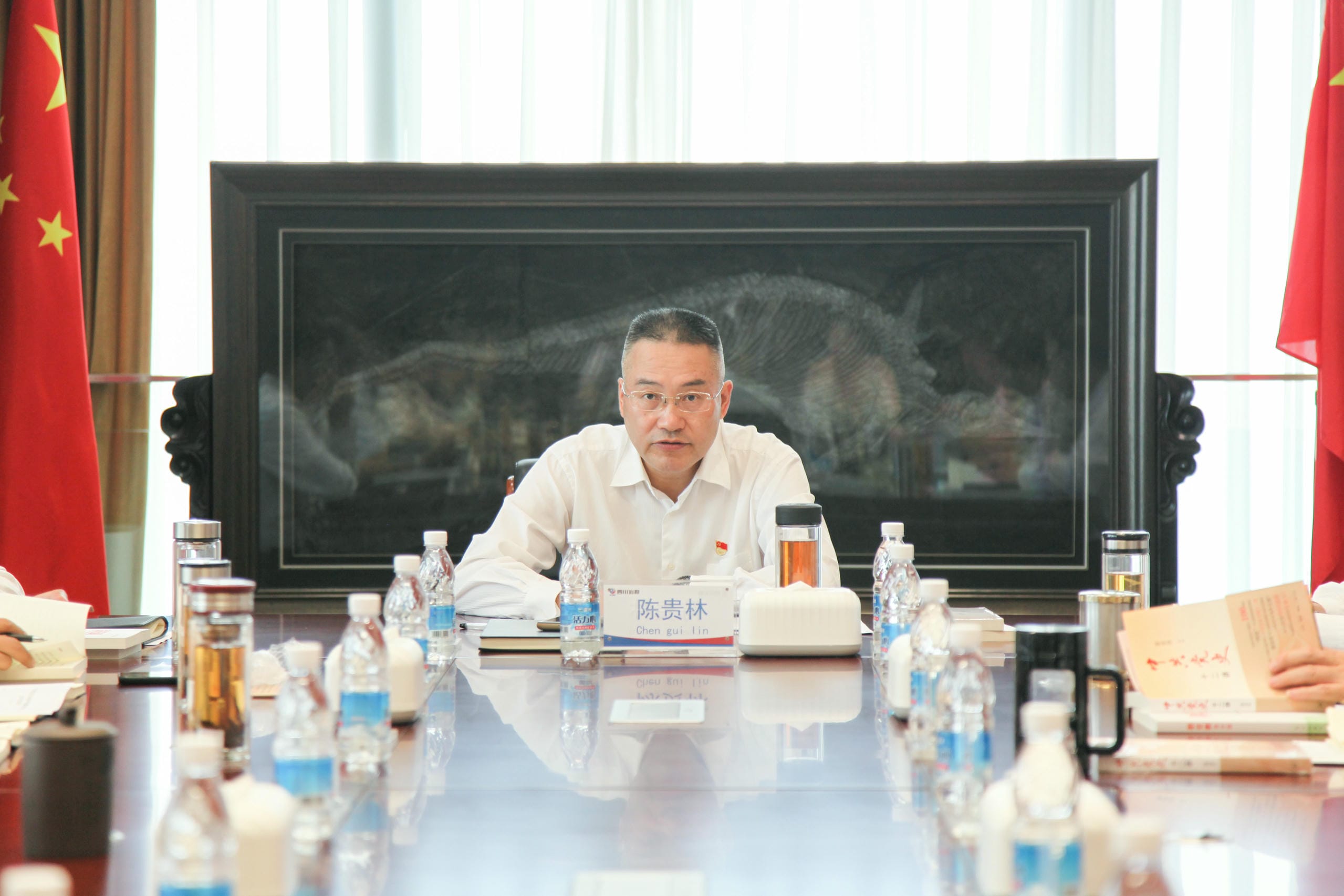 菲彩国际·(中国区)有限公司官网