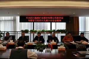 菲彩国际·(中国区)有限公司官网