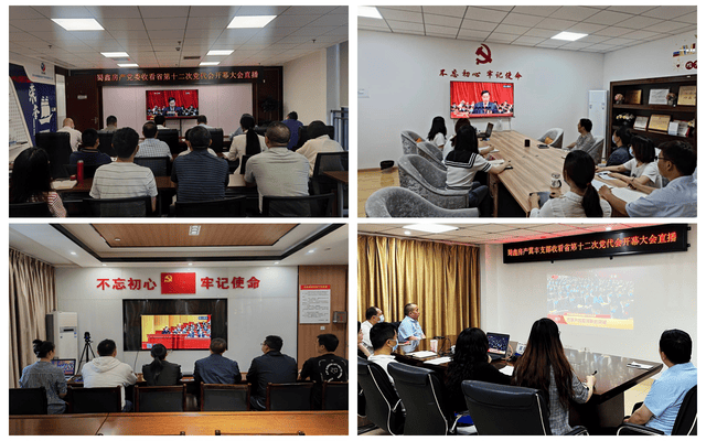 菲彩国际·(中国区)有限公司官网