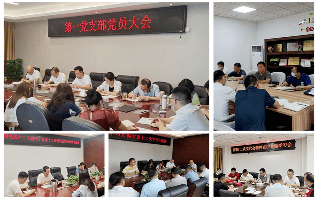 菲彩国际·(中国区)有限公司官网