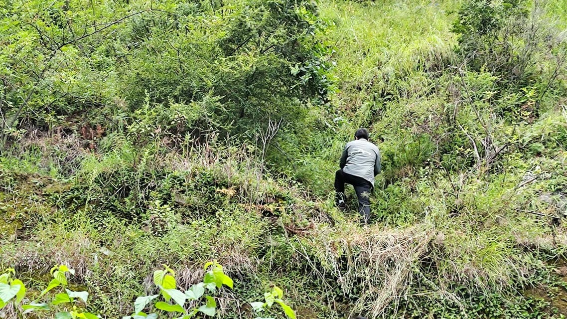 菲彩国际·(中国区)有限公司官网