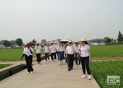 菲彩国际·(中国区)有限公司官网