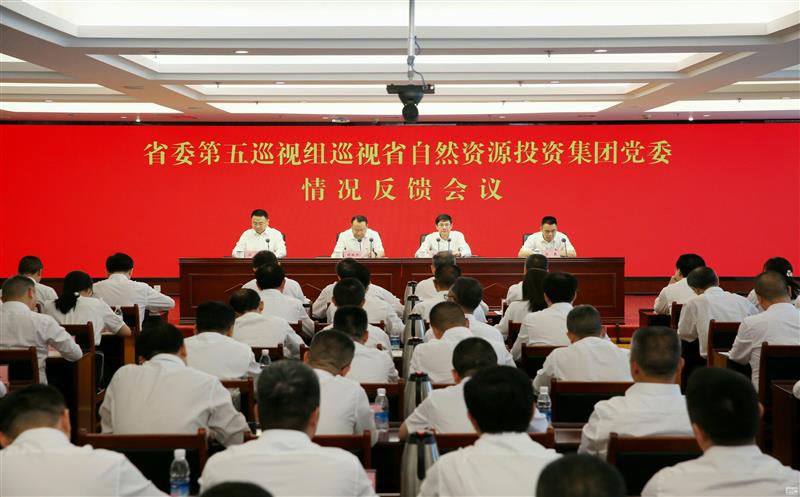 中共四川省委第五巡视组向省自然菲彩国际投资集团党委反馈巡视情况