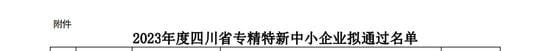 菲彩国际·(中国区)有限公司官网