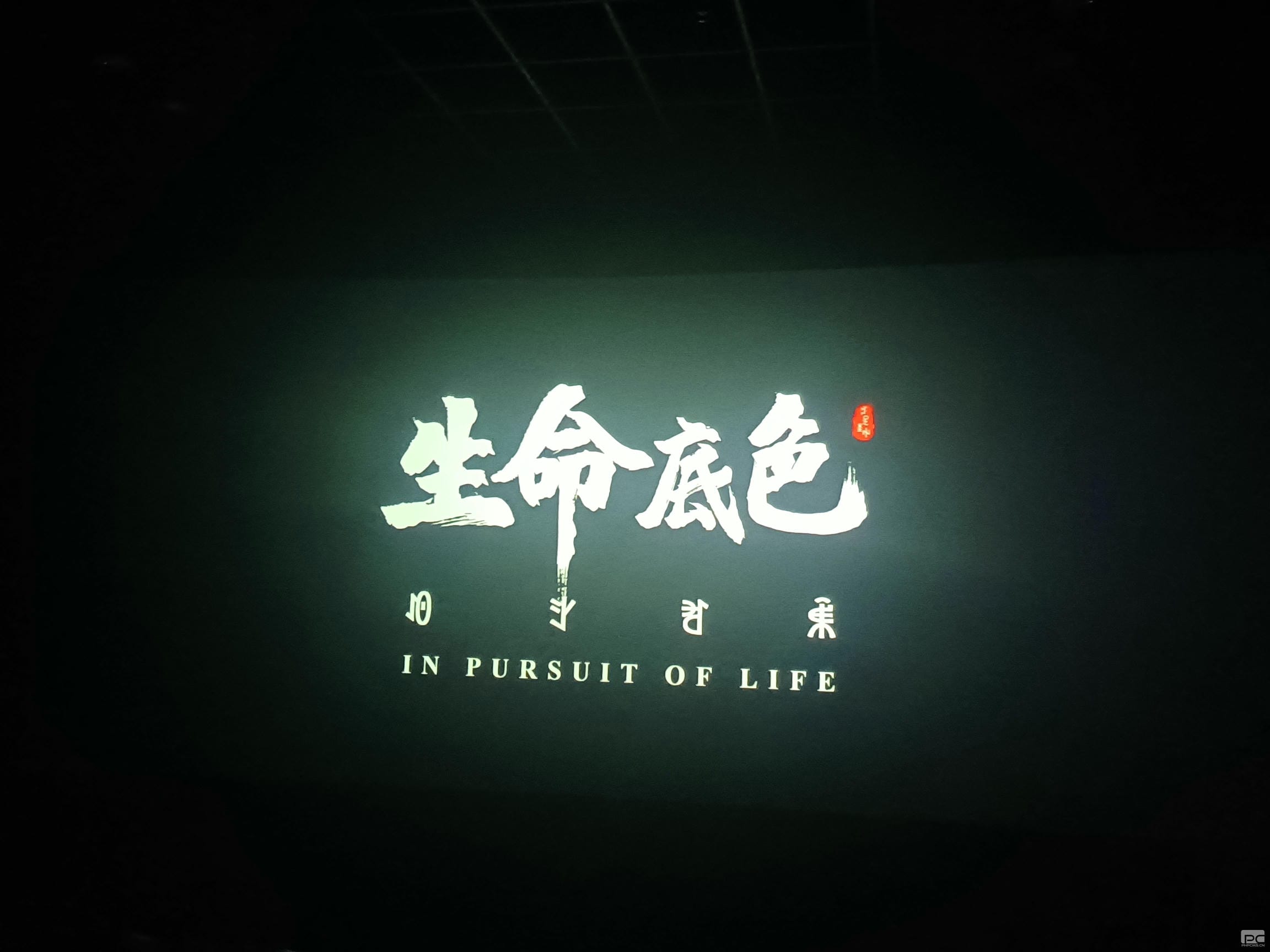 菲彩国际·(中国区)有限公司官网
