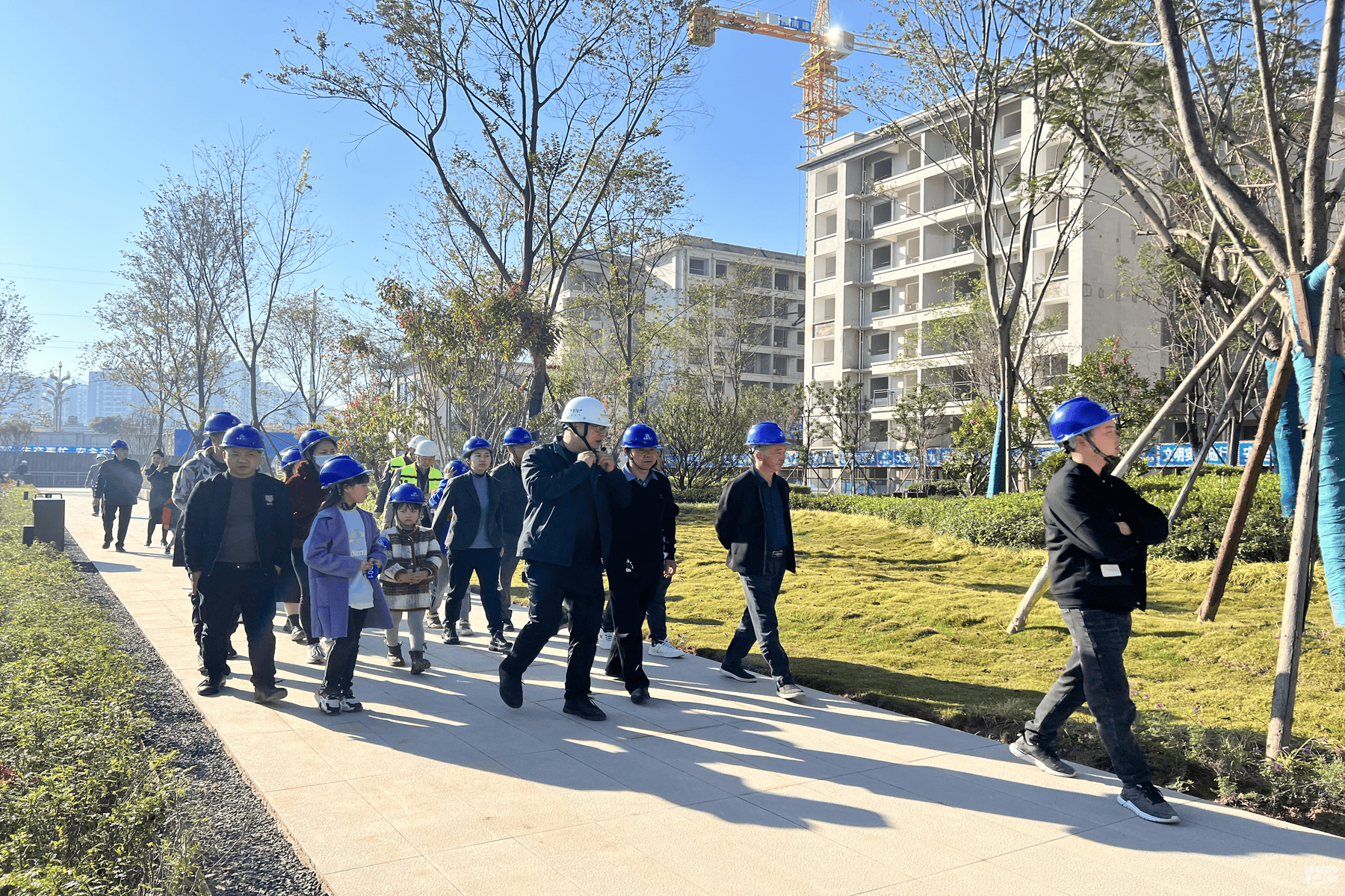 菲彩国际·(中国区)有限公司官网