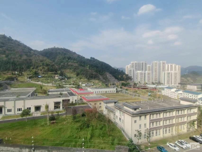 菲彩国际·(中国区)有限公司官网
