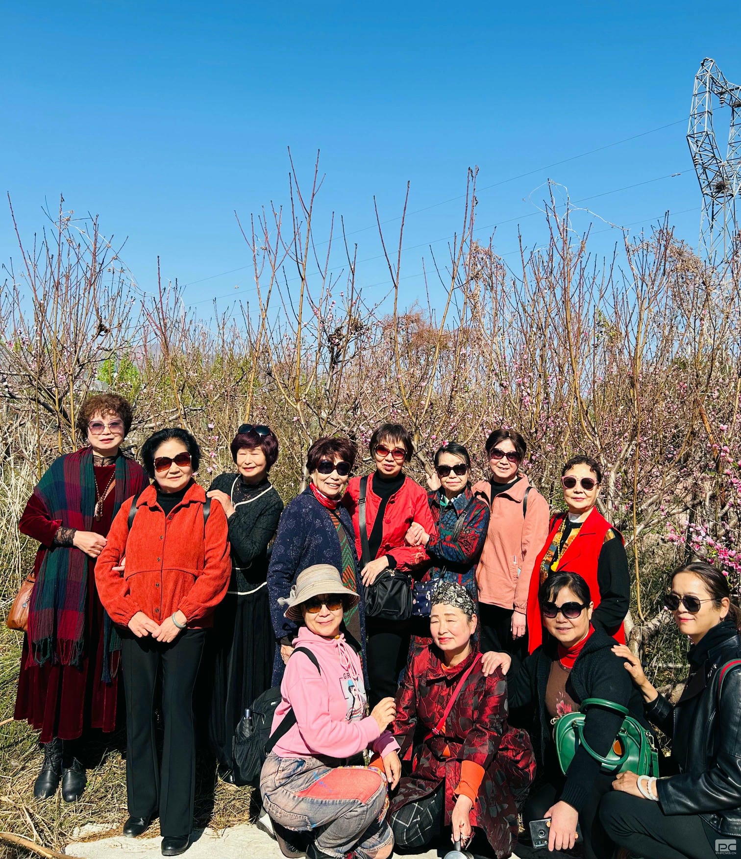 菲彩国际·(中国区)有限公司官网