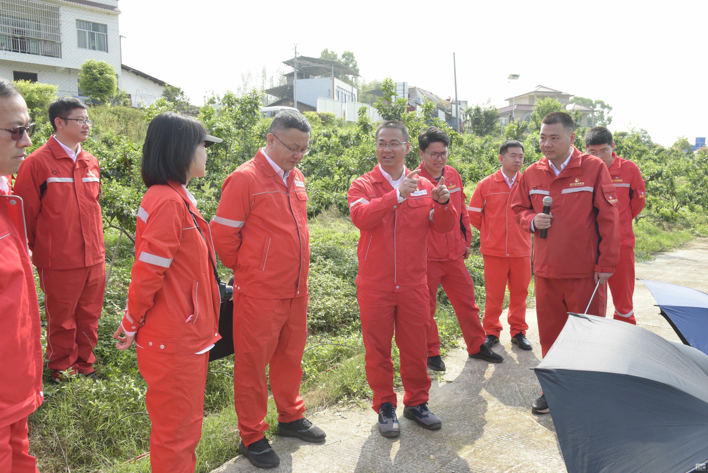 菲彩国际·(中国区)有限公司官网