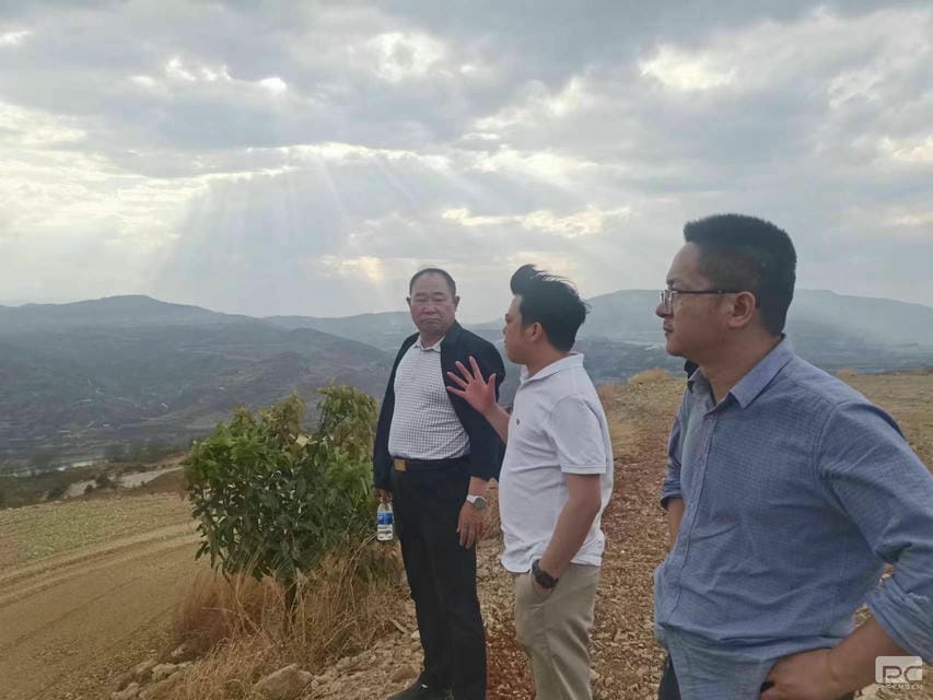 菲彩国际·(中国区)有限公司官网