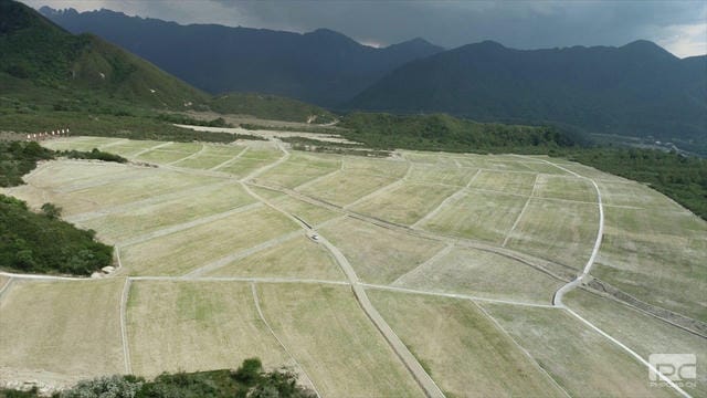 菲彩国际·(中国区)有限公司官网