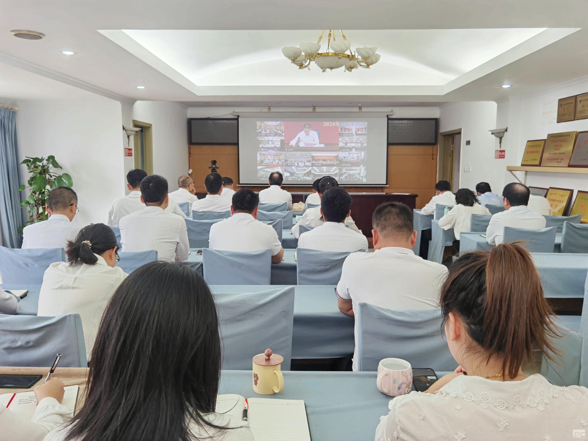 菲彩国际·(中国区)有限公司官网
