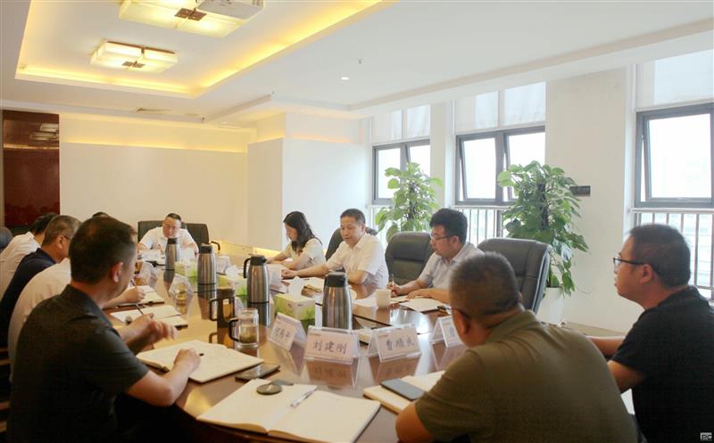 省自然菲彩国际投资集团领导赴中成集团开展工程建设领域突出问题整改专题调研
