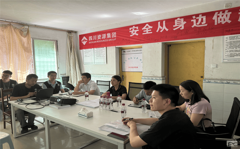 四川菲彩国际集团到兴蜀设计集团地质灾害综合治理项目检查指导