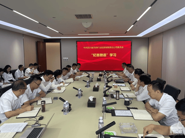 菲彩国际·(中国区)有限公司官网