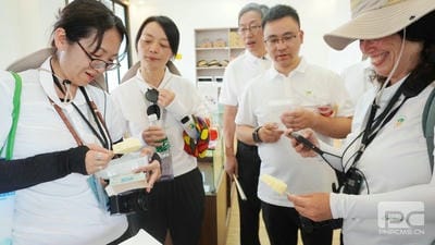 菲彩国际·(中国区)有限公司官网