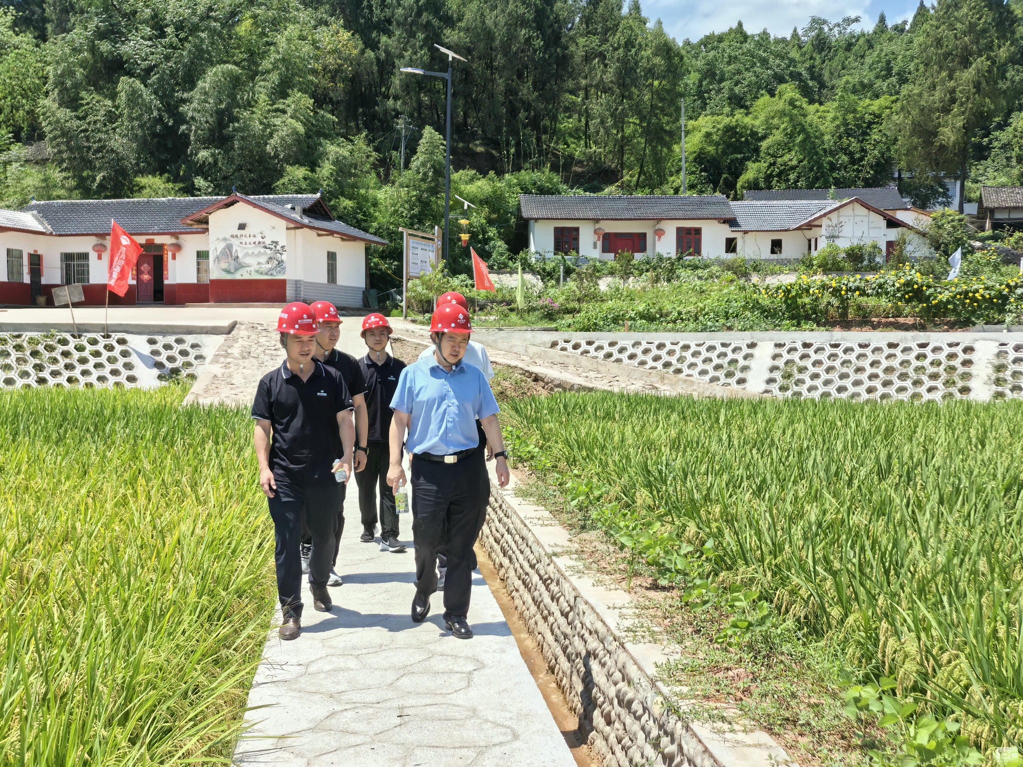 菲彩国际·(中国区)有限公司官网