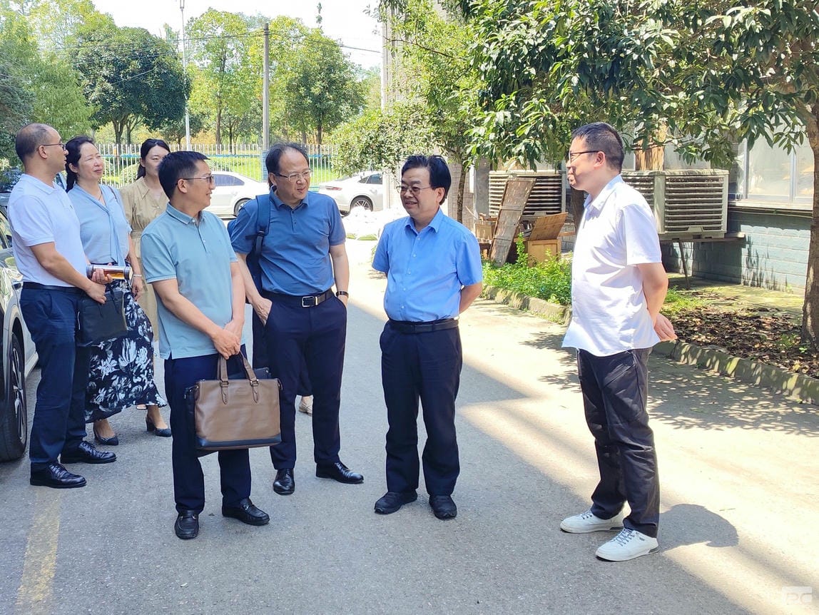 菲彩国际·(中国区)有限公司官网