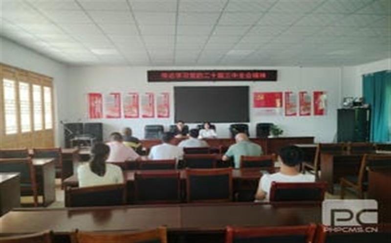 学习党的二十届三中全会精神，，，，，，华锋钻探助力乡村振兴新征程