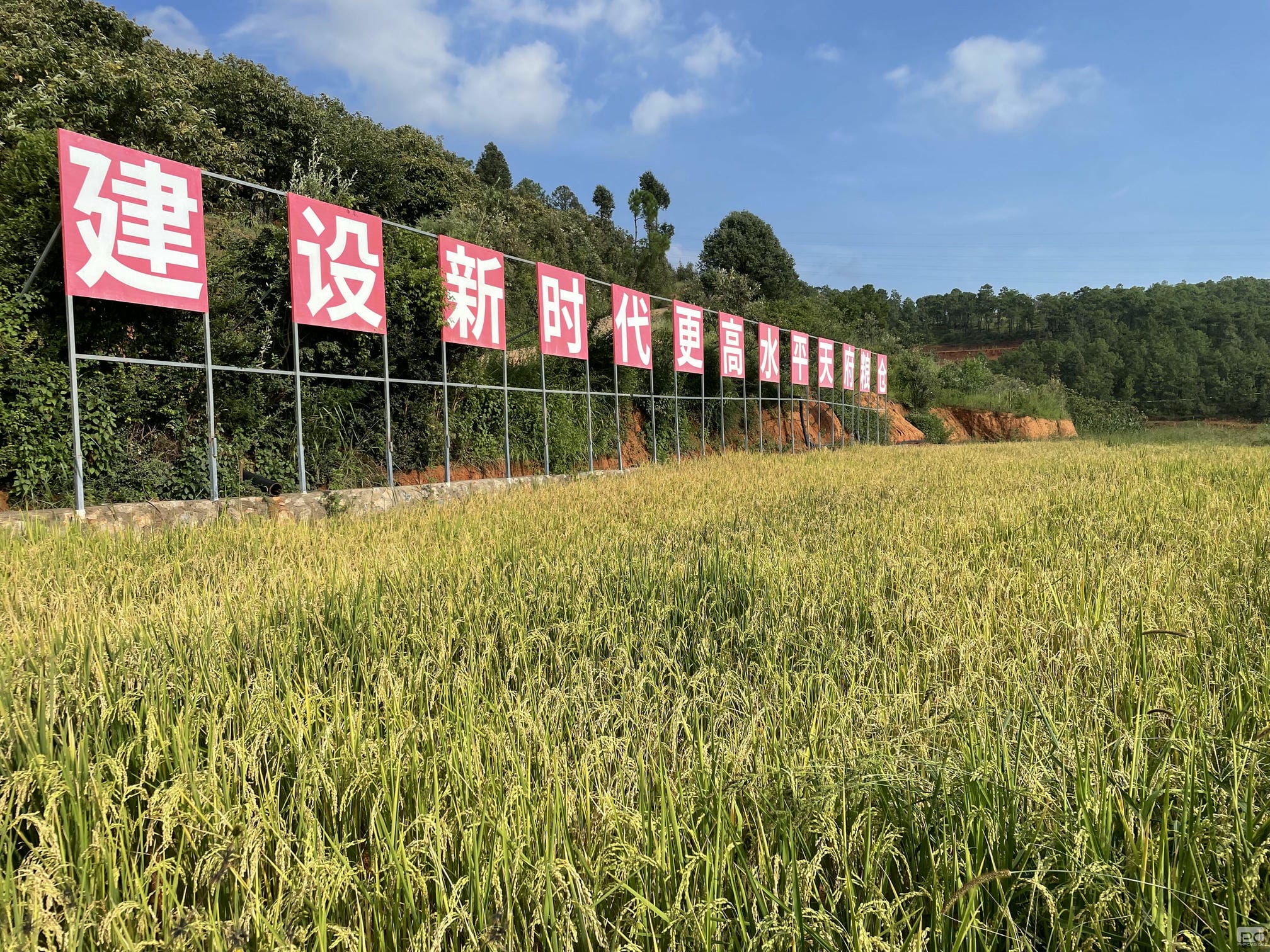 菲彩国际·(中国区)有限公司官网