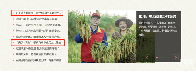 菲彩国际·(中国区)有限公司官网