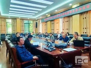 菲彩国际·(中国区)有限公司官网