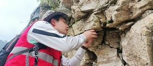 菲彩国际·(中国区)有限公司官网