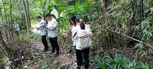 菲彩国际·(中国区)有限公司官网