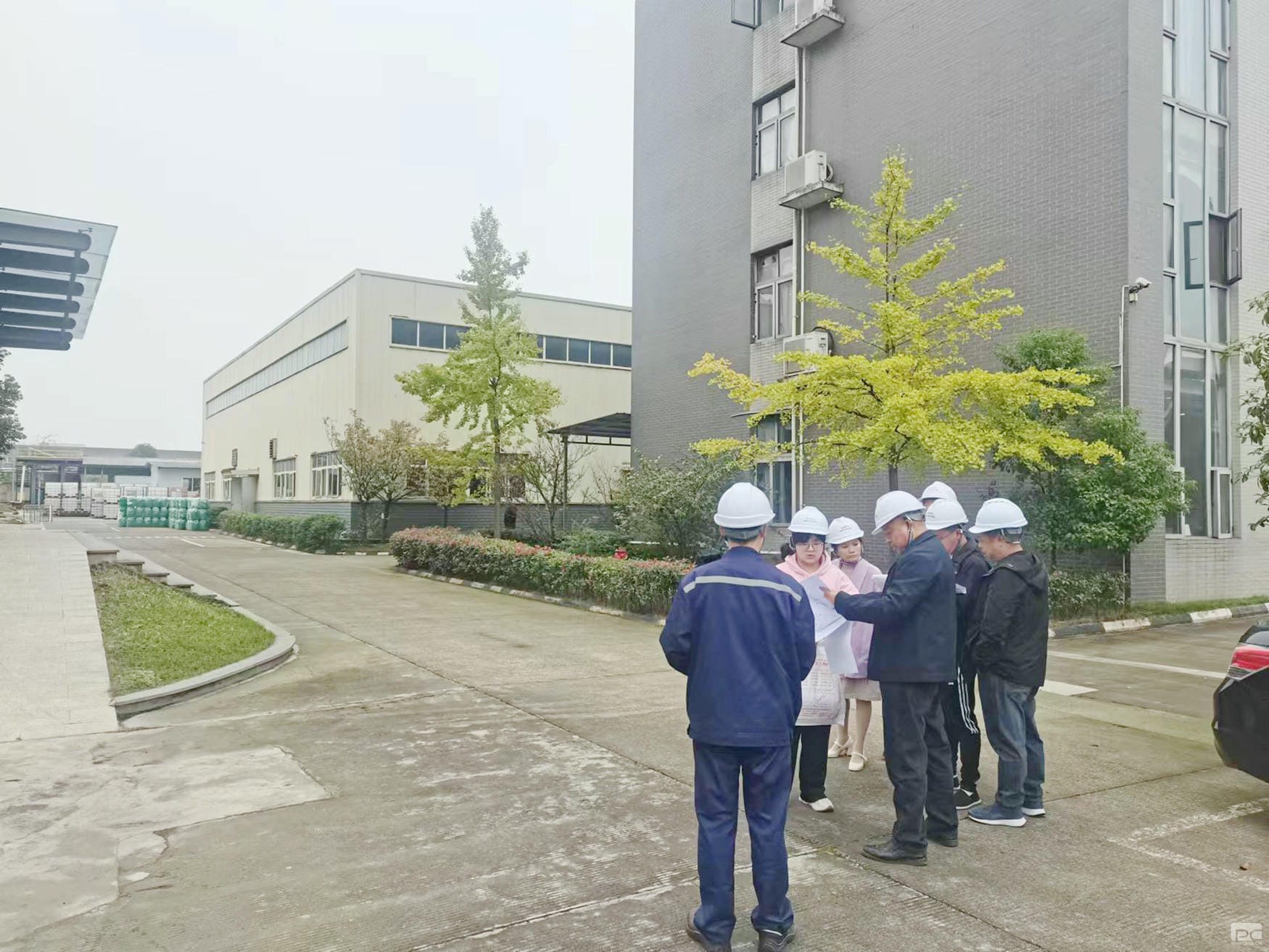 菲彩国际·(中国区)有限公司官网