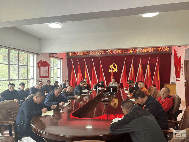菲彩国际·(中国区)有限公司官网