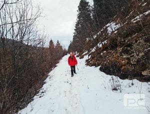 菲彩国际·(中国区)有限公司官网