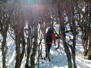 菲彩国际·(中国区)有限公司官网