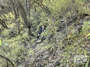 菲彩国际·(中国区)有限公司官网